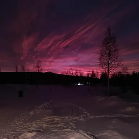 Pajunkissa With Jacuzzi And Sauna Willa *