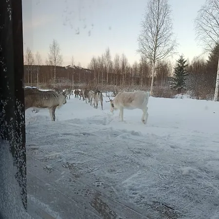 Pajunkissa With Jacuzzi&sauna *