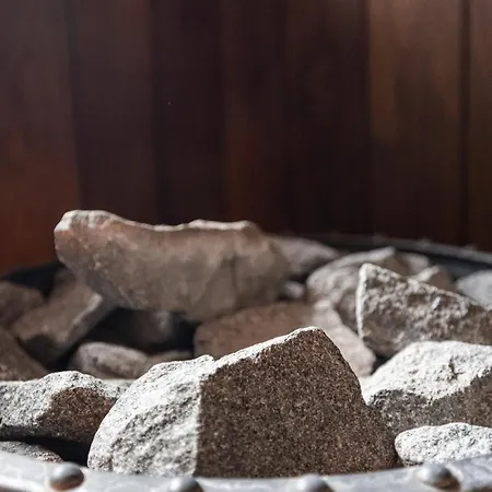 Pajunkissa With Jacuzzi And Sauna *